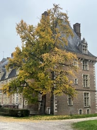 Img 0326