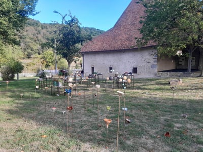 Img 20260921 145726